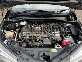 /photos/12489/e9127173-bf0b-4d26-a66f-1a478fac3bc5_i320x240.jpg